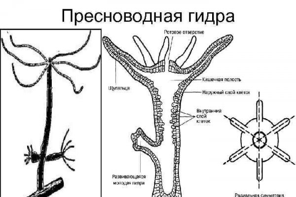 Кракен невозможно зарегистрировать пользователя